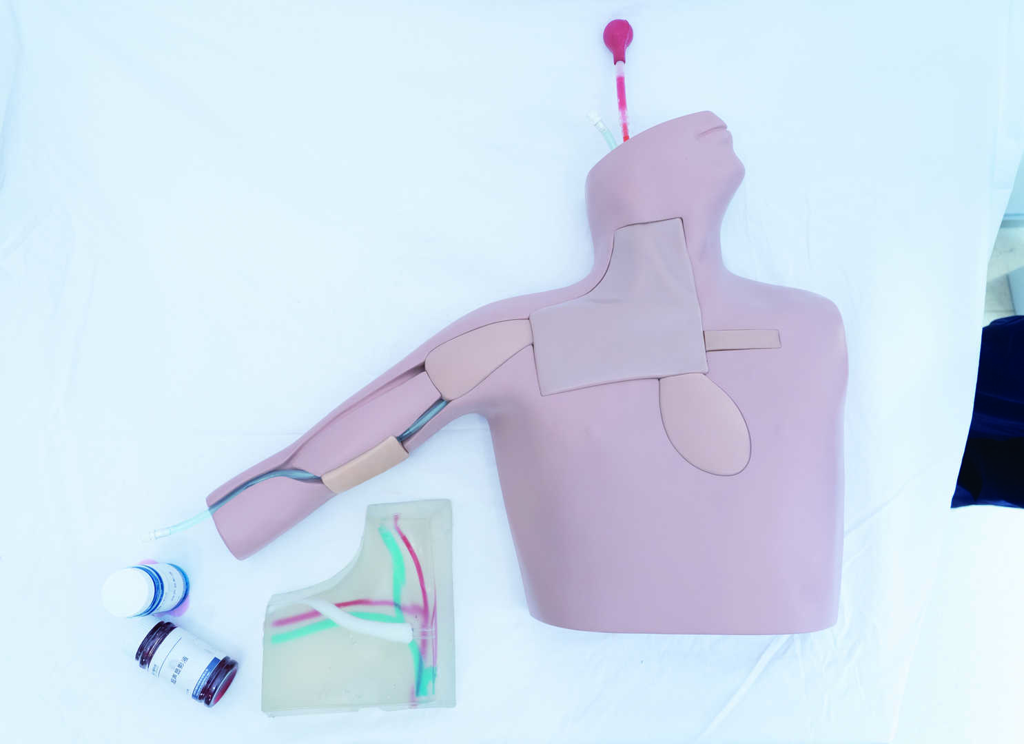 Central Venous Catheterization Ultrasound Training Model