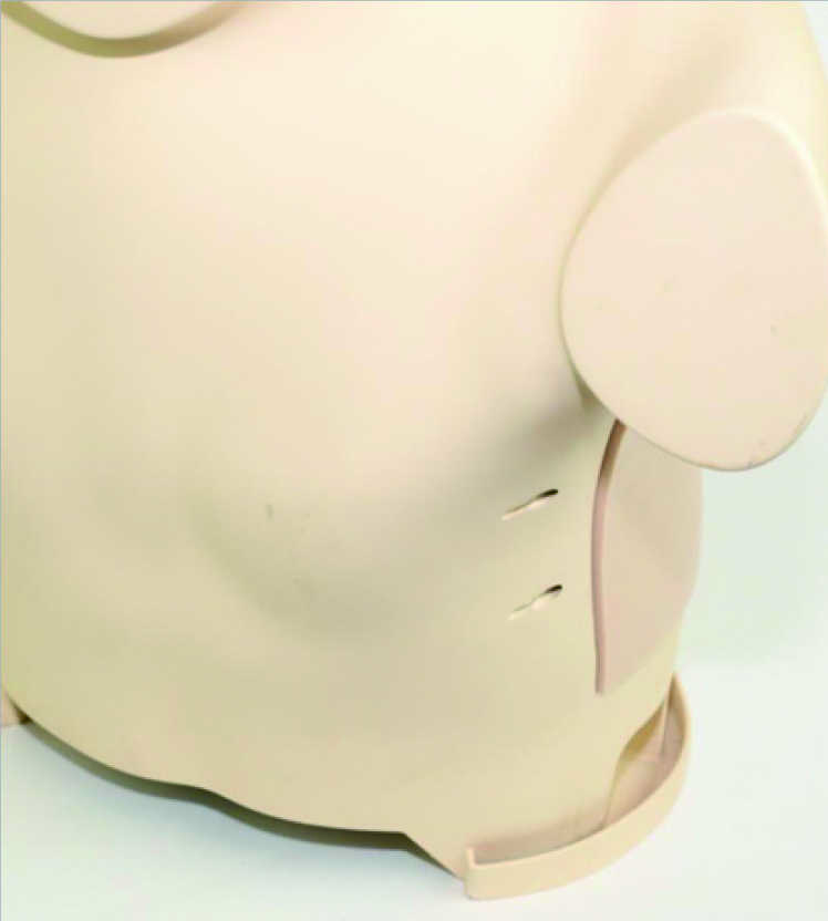 Thoracentesis Ultrasound Training Model