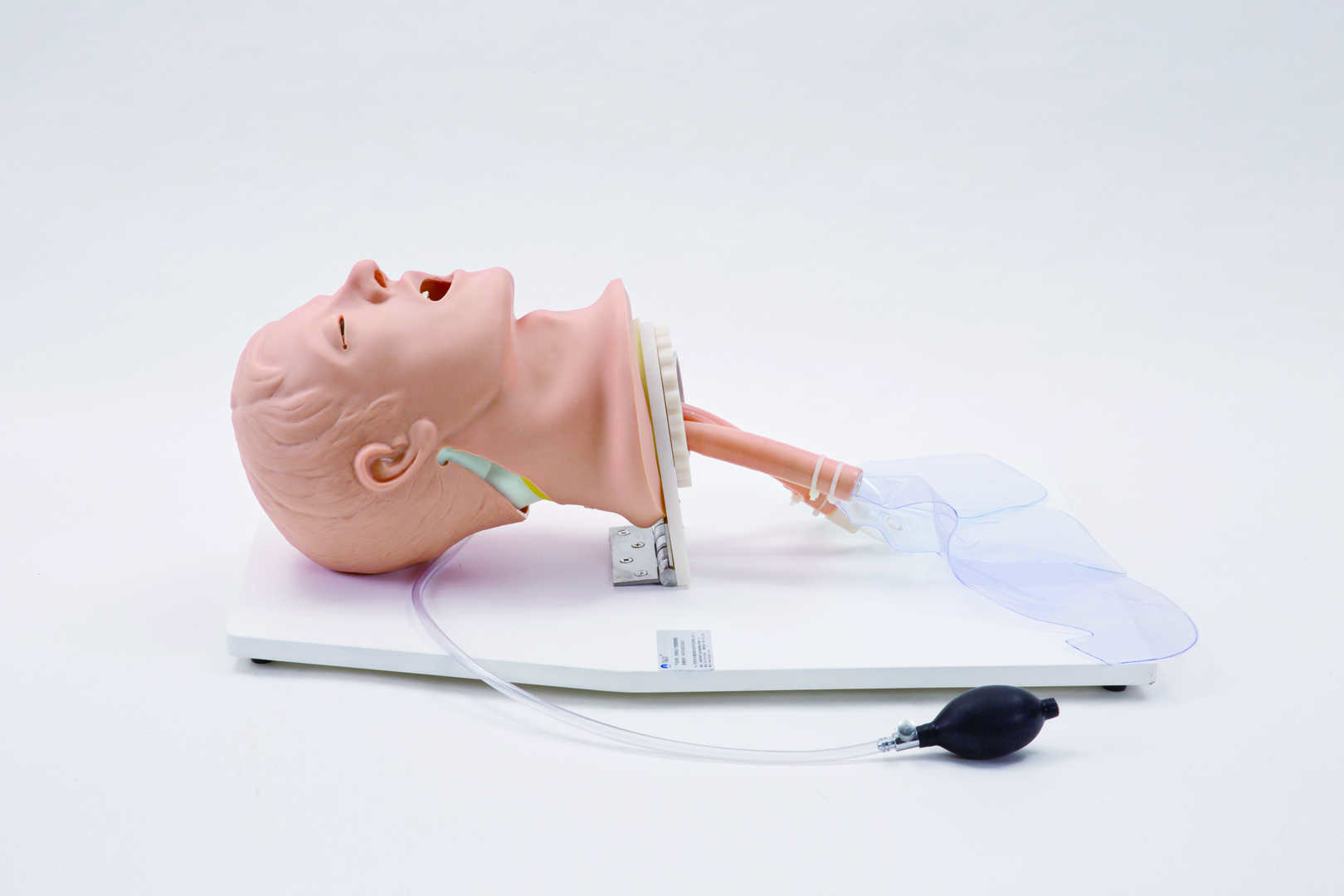 Airway Management Trainer