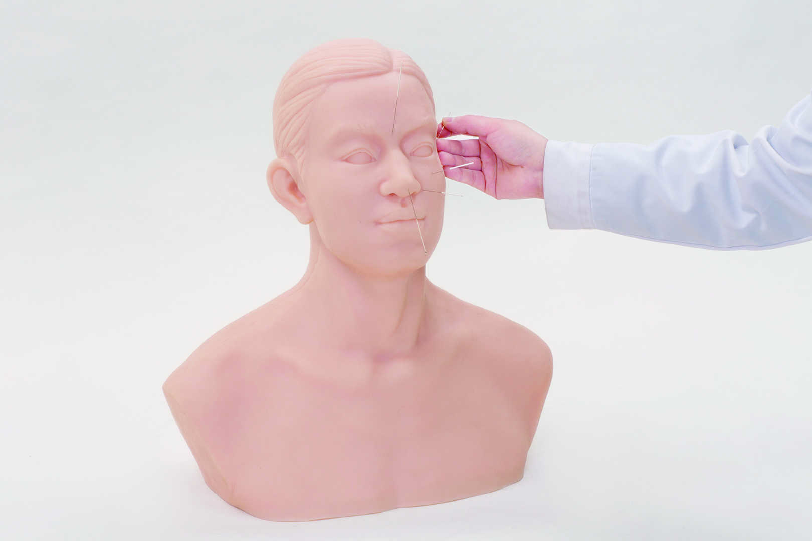 Acupuncture Training Head