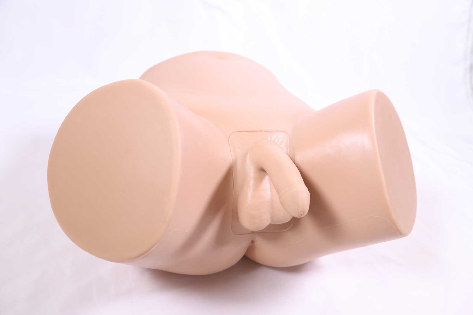 Advanced Male Catheterization Model