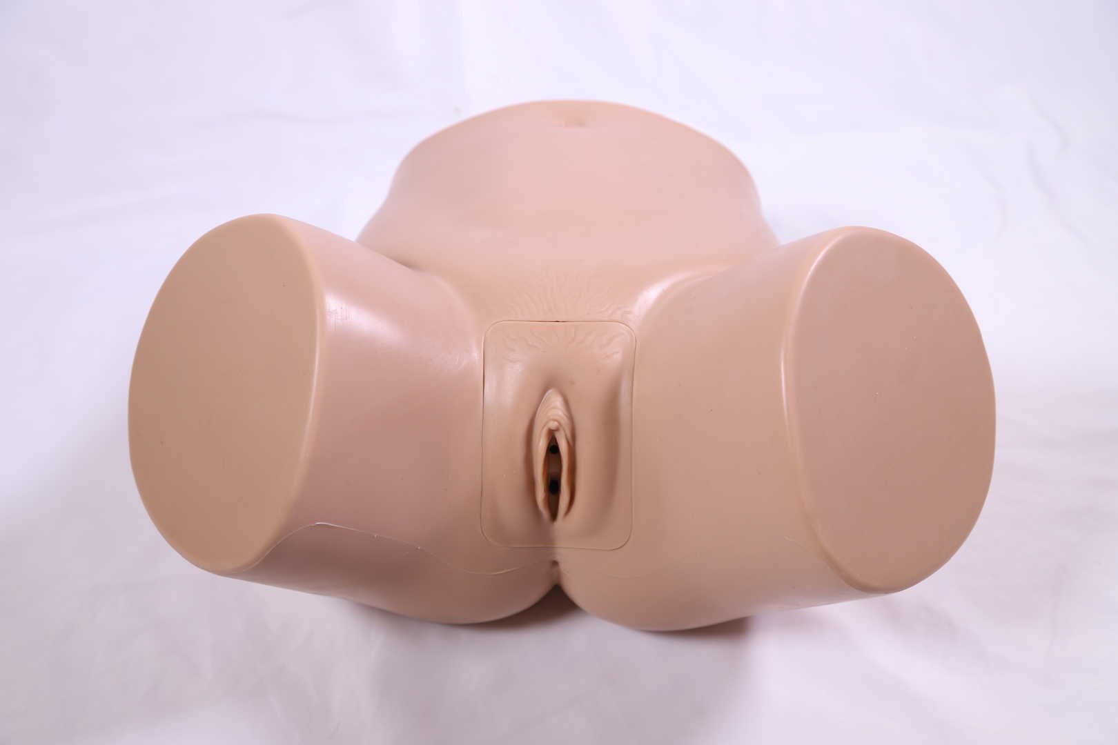 Advanced Female Catheterization Model