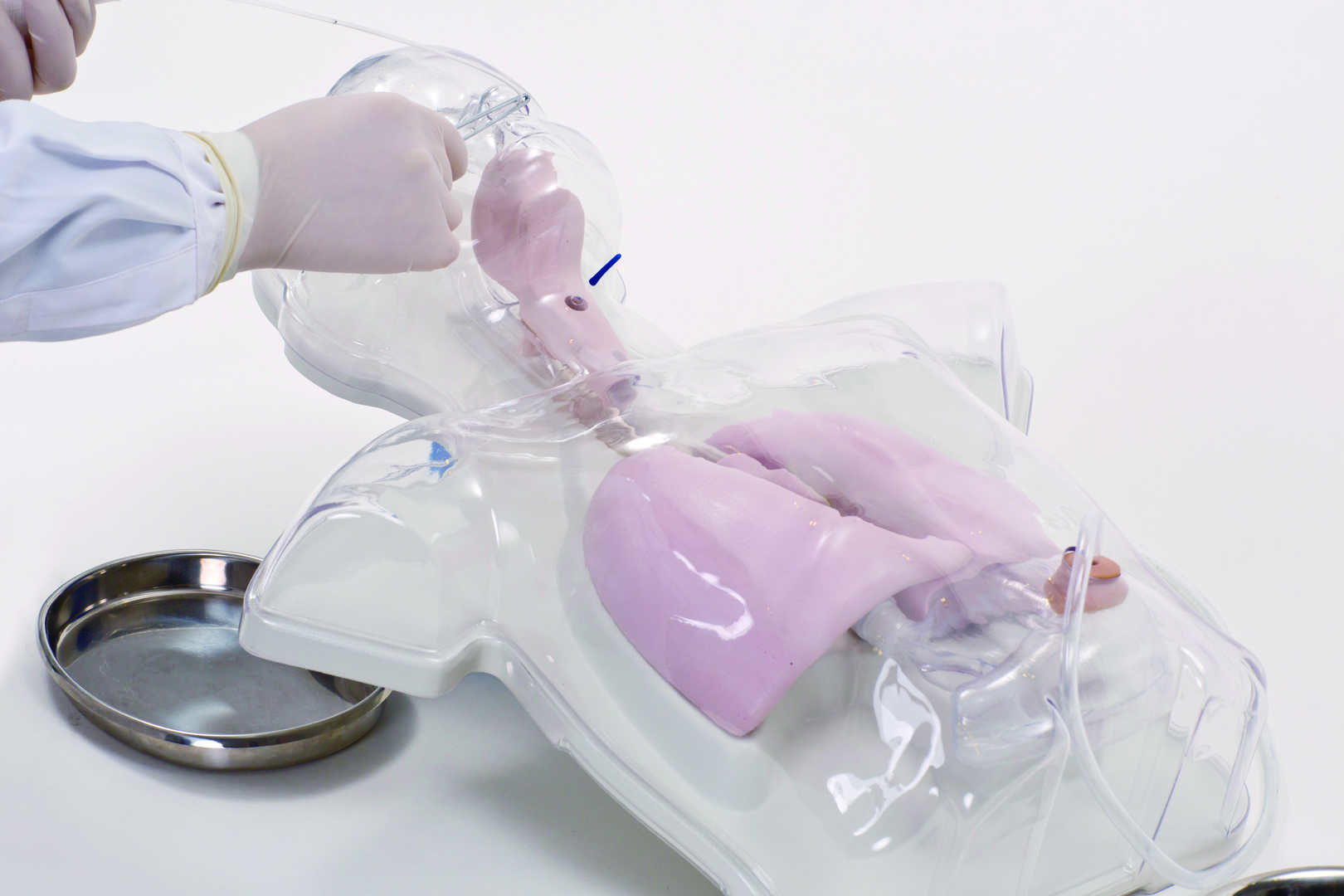 Pediatric Transparent Nasal Feeding and Gastric Lavage Model 