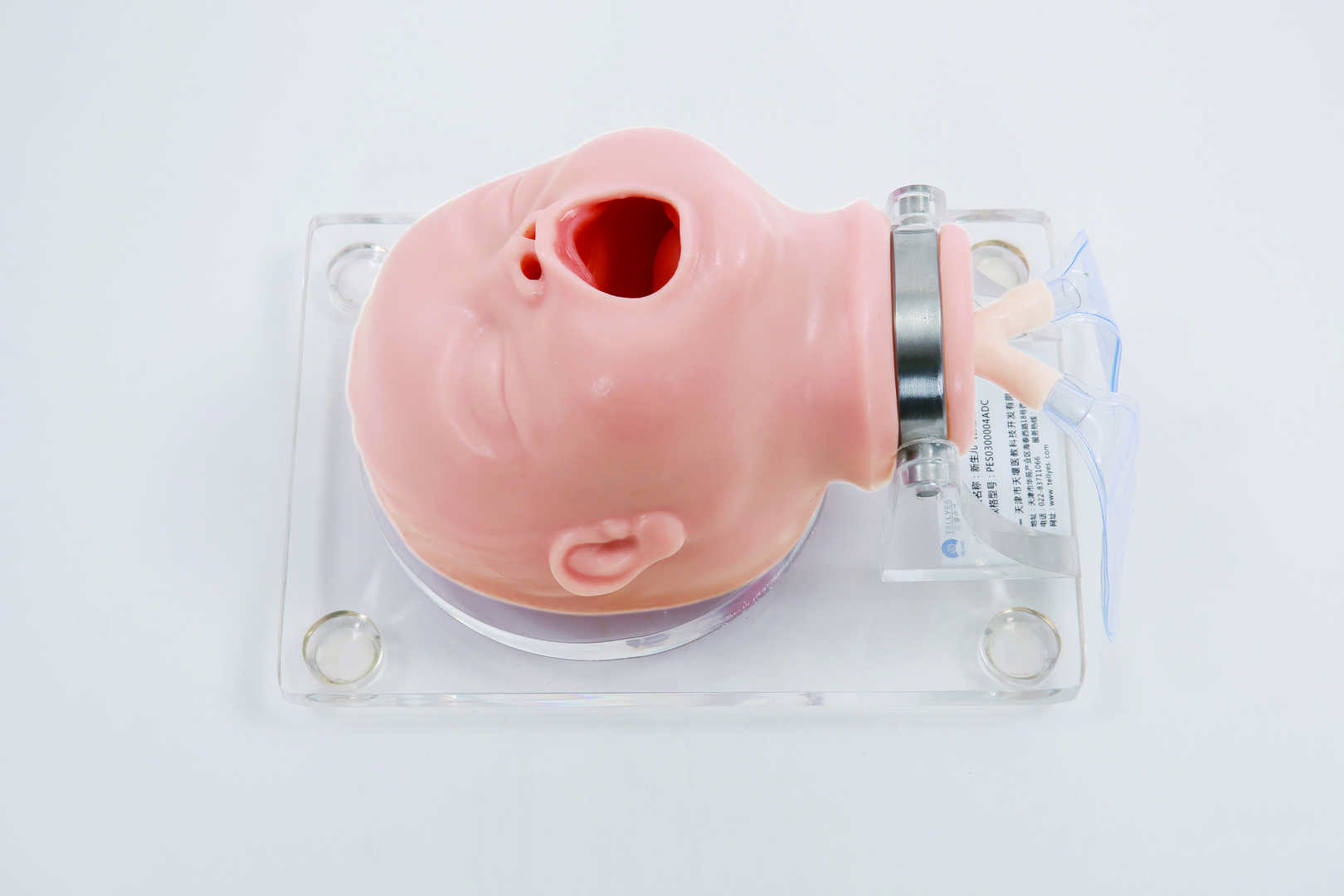 Neonate Airway Management Trainer 