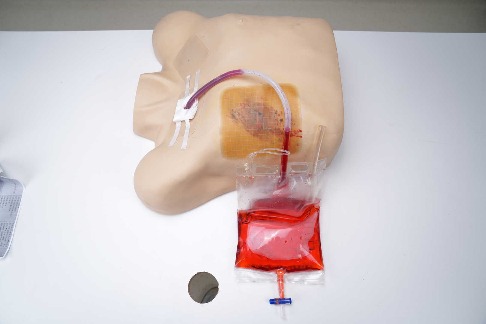 Pneumothorax & Chest Drain Model