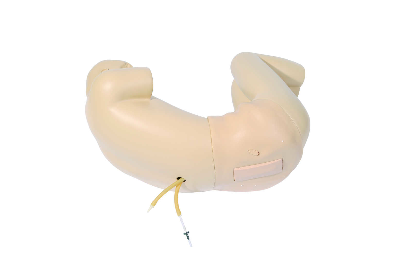 Adult Lumbar Puncture Simulator