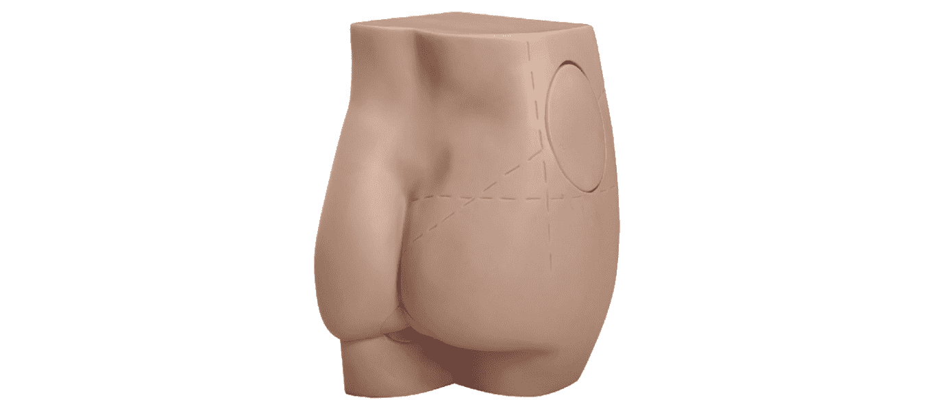 Buttock Intramuscular Injection Model