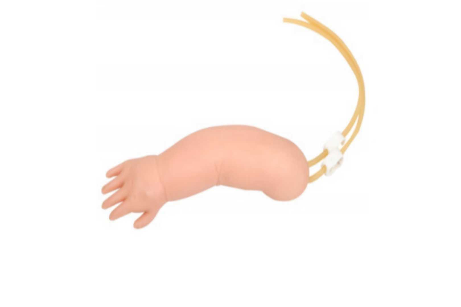 Advanced Infant IV Training Arm