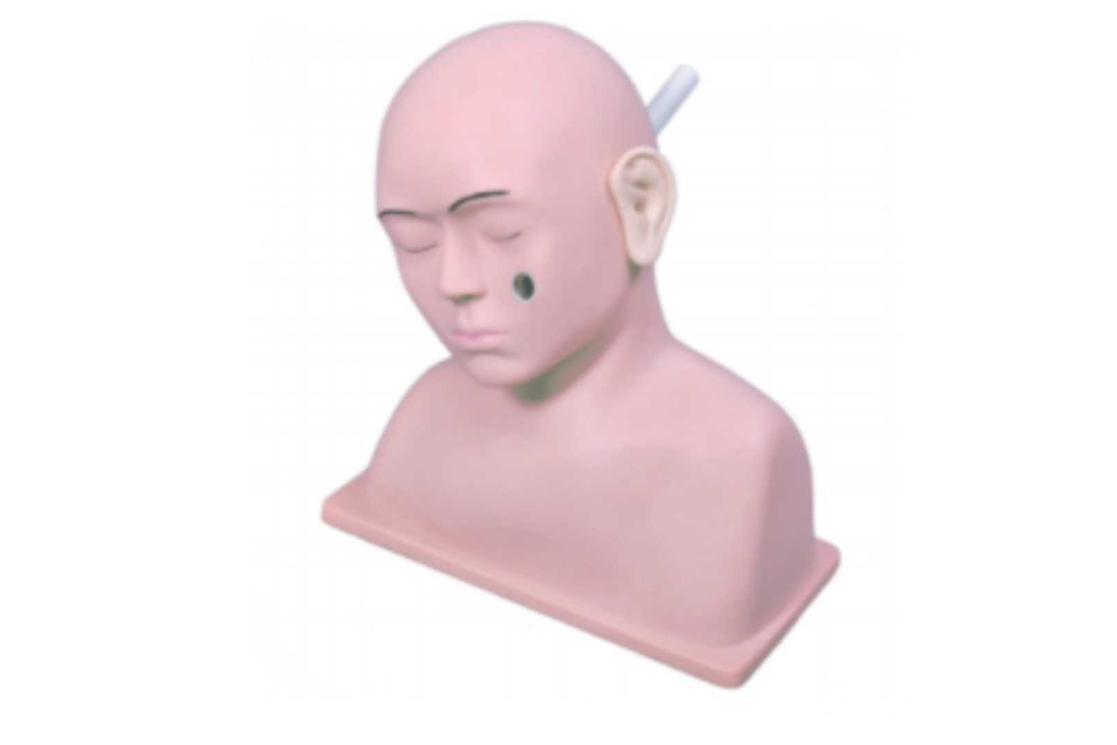 Advanced Ear Diagnostic Trainer