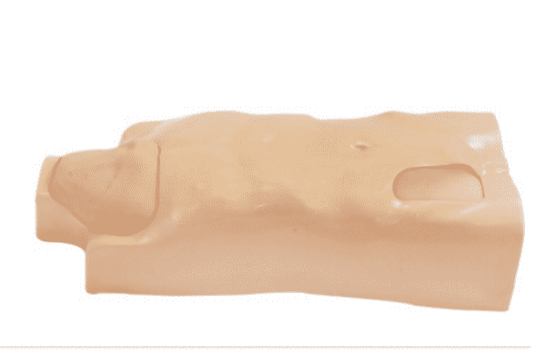 Central Venipuncture Torso Model