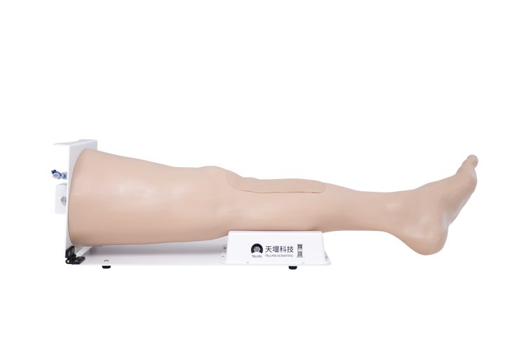 Adult Tibial Puncture Leg (with Stand)